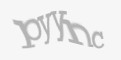 Защитный код